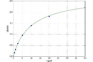A typical standard curve