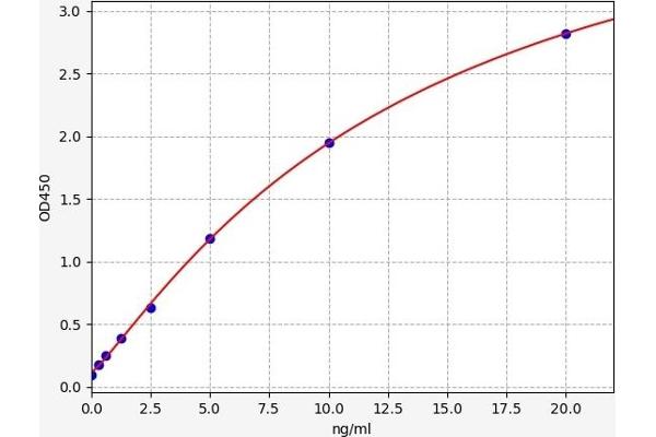 SLC40A1 ELISA 试剂盒