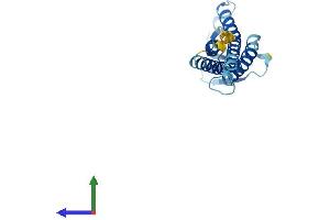 Protein Structure (PS) image for Claudin 4 (CLDN4) (AA 1-209) protein (His tag) (ABIN7553394)