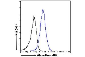 Flow Cytometry (FACS) image for anti-Formiminotransferase Cyclodeaminase (FTCD) (N-Term) antibody (ABIN185267)