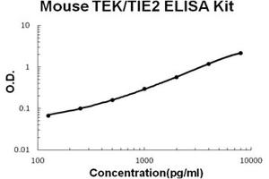 Mouse TEK/TIE2 PicoKine ELISA Kit standard curve