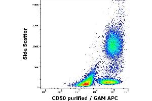 Flow cytometry surface staining pattern of human peripheral whole blood stained using anti-human CD50 (MEM-04) purified antibody (concentration in sample 3 μg/mL, GAM APC).
