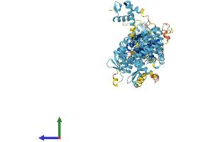 Protein Structure (PS) image for Anaphase Promoting Complex Subunit 2 (ANAPC2) (AA 1-822) protein (His tag) (ABIN7552055)