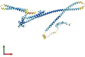 AlphaFold protein structure predicition of Mouse Recombinant Ccdc148 Protein, UniprotID Q6P5U8