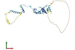 AlphaFold protein structure predicition of Human Recombinant FRA10AC1 Protein, UniprotID Q70Z53