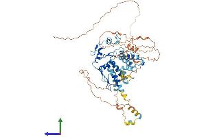 Protein Structure (PS) image for Zinc Finger Protein 394 (ZNF394) (AA 1-561) protein (His tag) (ABIN7545463)