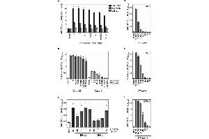 The icELISA test allows quantification of SARS-CoV-2 replication and its inhibition by antiviral compounds. (SARS-CoV-2 Envelope 抗体  (N-Term))
