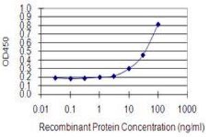 Detection limit for recombinant GST tagged FCRLB is 3 ng/ml as a capture antibody. (FCRLB 抗体  (AA 89-174))