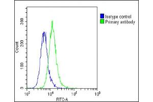 Overlay histogram showing A549 cells stained with C(green line). (MED14 抗体  (AA 586-615))