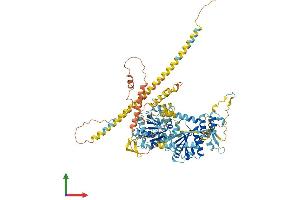 Protein Structure (PS) image for Helicase, Lymphoid-Specific (HELLS) (AA 1-821) protein (His tag) (ABIN7563882)