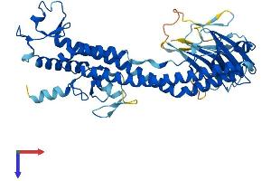 Protein Structure (PS) image for Tripartite Motif Containing 51 (TRIM51) (AA 1-452) protein (His tag) (ABIN7544772)