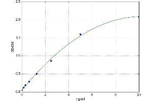A typical standard curve