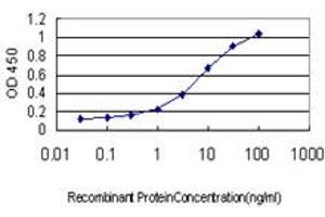 Detection limit for recombinant GST tagged HOXC8 is approximately 0. (HOXC8 抗体  (AA 47-136))