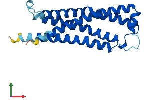 Protein Structure (PS) image for Transmembrane Protein 205 (TMEM205) (AA 1-189) protein (His tag) (ABIN7544640)