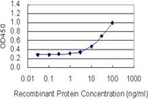 Detection limit for recombinant GST tagged SOX5 is 1 ng/ml as a capture antibody. (SOX5 抗体  (AA 181-230))