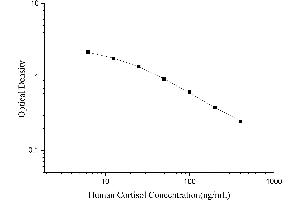 Typical Standard Curve