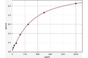 Choline O-Acetyltransferase (CHAT) ELISA Kit