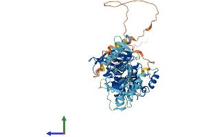 Protein Structure (PS) image for Polo-Like Kinase 5 (PLK5) (AA 1-595) protein (His tag) (ABIN7557378)