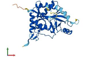 Protein Structure (PS) image for Methylthioadenosine phosphorylase (MTAP) (AA 1-283) protein (His tag) (ABIN7549589)