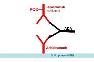 Image no. 2 for Adalimumab Antibody ELISA Kit (ABIN2862660) (Adalimumab Antibody ELISA 试剂盒)