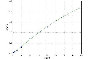 A typical standard curve (Complement C2 ELISA 试剂盒)