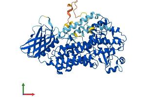 AlphaFold protein structure predicition of Mouse Recombinant Alox12b Protein, UniprotID O70582