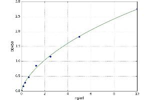 Peroxiredoxin 5 (PRDX5) ELISA Kit