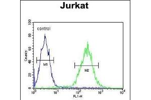 Flow Cytometry (FACS) image for anti-Regulation of Nuclear Pre-mRNA Domain Containing 1B (RPRD1B) (AA 254-282), (C-Term) antibody (ABIN653874)
