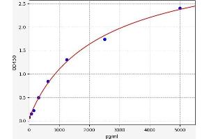 Typical standard curve (CTCF ELISA 试剂盒)