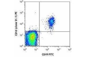 Flow Cytometry (FACS) image for anti-CD1d Molecule (CD1D) antibody (PE) (ABIN2662517) (CD1d 抗体  (PE))