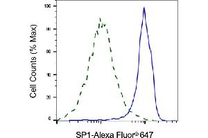 Validation of SP1 knockdown using flow cytometry. (SP1 抗体)