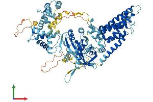 Protein Structure (PS) image for NADPH Oxidase 5 (NOX5) (AA 1-765) protein (His tag) (ABIN7554783)