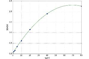 A typical standard curve (SFRP2 ELISA 试剂盒)