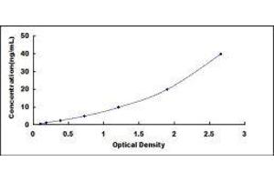 Dipeptidyl-Peptidase 4 (DPP4) ELISA Kit
