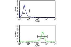 RPS6KB2 antibody flow cytometry analysis of K562 cells (bottom histogram) compared to a negative control (top histogram).