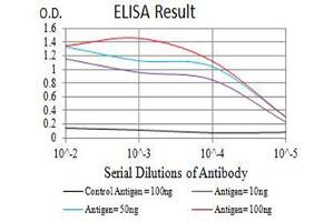 Black line: Control Antigen (100 ng),Purple line: Antigen (10 ng), Blue line: Antigen (50 ng), Red line:Antigen (100 ng) (BCL2L2 抗体  (AA 6-118))