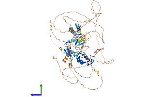 Protein Structure (PS) image for Ring Finger Protein 19A (RNF19A) (AA 1-838) protein (His tag) (ABIN7555256)