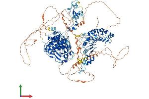 AlphaFold protein structure predicition of Mouse Recombinant Kdm2b Protein, UniprotID Q6P1G2