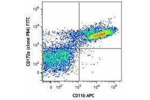 Flow Cytometry (FACS) image for anti-Signal-Regulatory Protein alpha (SIRPA) antibody (FITC) (ABIN2661534) (SIRPA 抗体  (FITC))