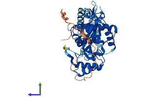Protein Structure (PS) image for 2',5'-Oligoadenylate Synthetase 1, 40/46kDa (OAS1) (AA 1-400) protein (His tag) (ABIN7554812)