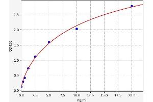 Typical standard curve (TLR5 ELISA 试剂盒)