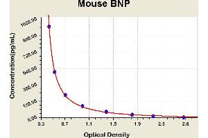 Brain Natriuretic Peptide (BNP) ELISA Kit