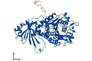 AlphaFold protein structure predicition of Human Recombinant NPEPL1 Protein, UniprotID Q8NDH3