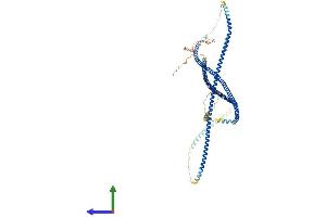 Protein Structure (PS) image for Coiled-Coil alpha-Helical Rod Protein 1 (CCHCR1) (AA 1-782) protein (His tag) (ABIN7553149)