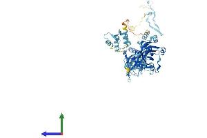 Protein Structure (PS) image for EF-Hand Domain (C-terminal) Containing 1 (EFHC1) (AA 1-648) protein (His tag) (ABIN7561188)