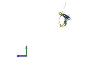 AlphaFold protein structure predicition of Human Recombinant TCEAL7 Protein, UniprotID Q9BRU2