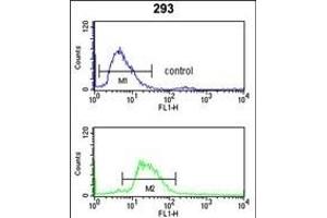 LRG1 Antibody (Center) (ABIN390660 and ABIN2840956) flow cytometry analysis of 293 cells (bottom histogram) compared to a negative control cell (top histogram). (LRG1 抗体  (AA 194-223))