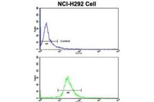 Flow Cytometry (FACS) image for anti-Kinesin Family Member 3C (KIF3C) antibody (ABIN3003233) (KIF3C 抗体)