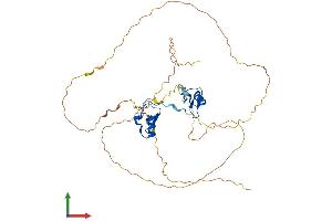Protein Structure (PS) image for GATA Binding Protein 5 (GATA5) (AA 1-404) protein (His tag) (ABIN7556818)