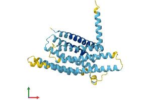 AlphaFold protein structure predicition of Mouse Recombinant Tas2r136 Protein, UniprotID Q7TQA8 (TAS2R136 Protein (AA 1-305) (His tag))